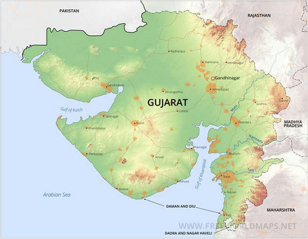 Gujarat Wildlife Species Threat – Burning Issues – Free PDF Download_5.1