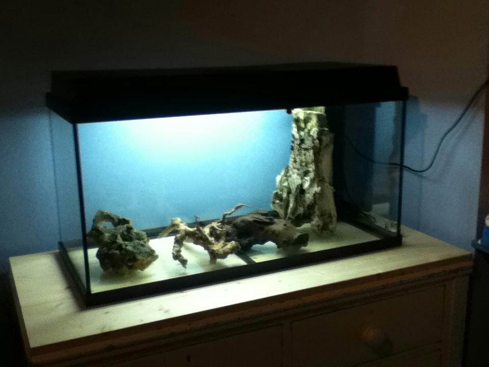 Setting up my Juwel Rekord 110L tank! | Reptile Forums