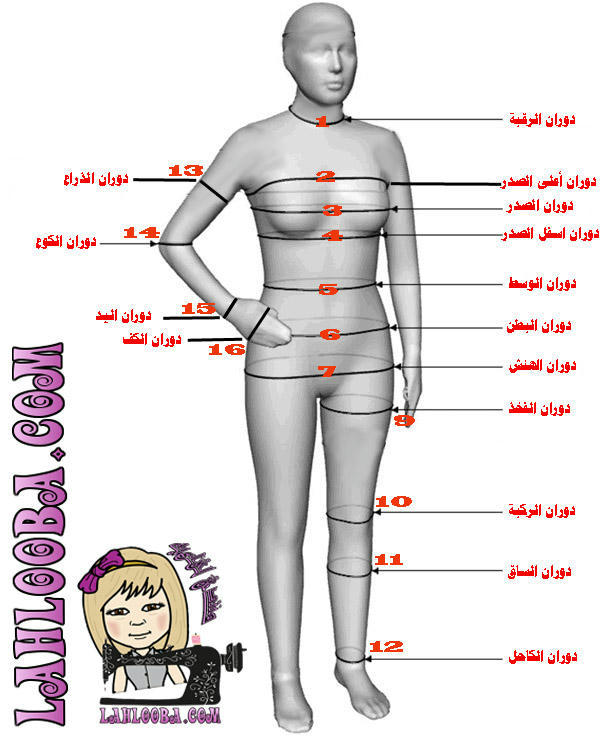 الدرس 6 : كيفية أخذ مقاسات الجسم بشكل دقيق و صحيح (Body measurements)