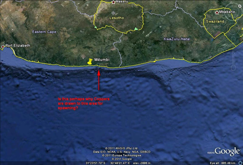 Agulhas+current+map