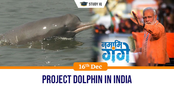 Gk Topic Project Dolphin In India The National Ganga Council Ngc 2633