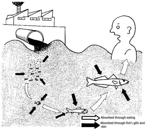 Environment Effect Of Antiviral DRUGS – Free PDF Download_10.1