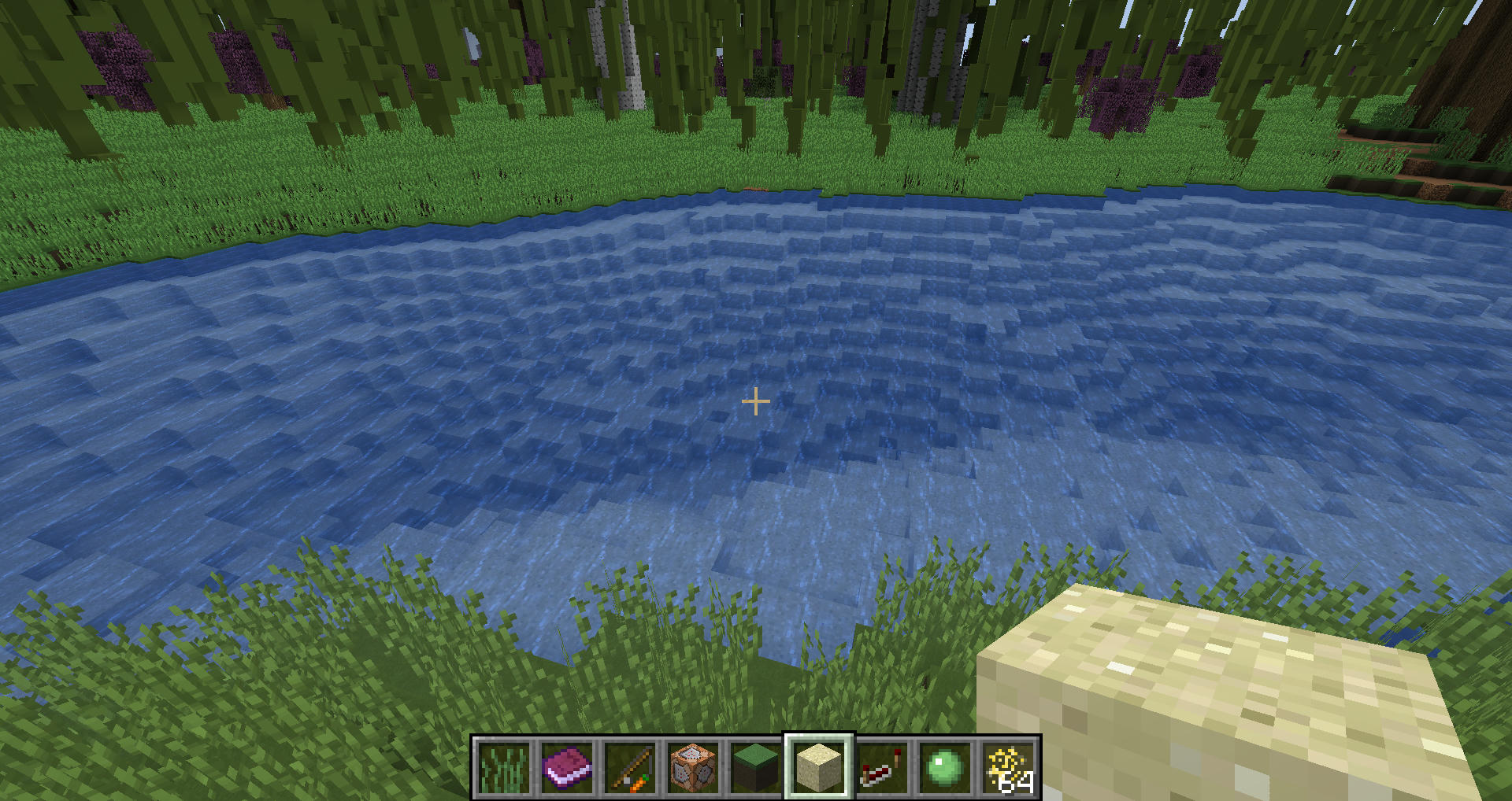 What is the title of this picture ? Water is too clear/bright now since 1.13's change - Recent Updates and