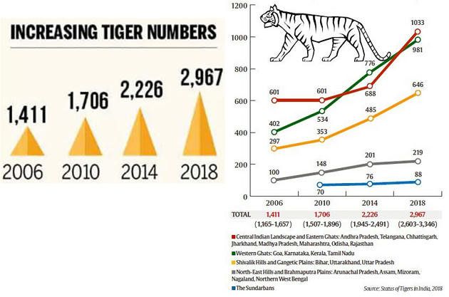 India’s Tiger Census Creates Guinness Record – Free PDF Download_8.1