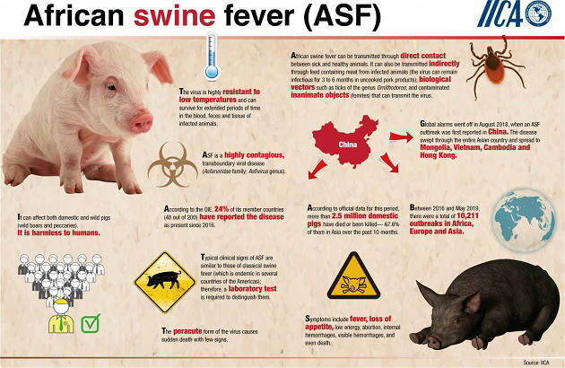 African Swine Fever Has Entered India From China – Free PDF Download_6.1