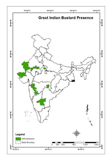 Great Indian Bustard – Conservation Reserves – Free PDF Download_8.1