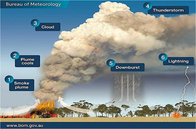 Pyro-Cumulonimbus Clouds In Australian – Free PDF Download_12.1