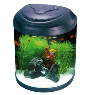  Aquarium  Hias  Untuk Rumah Minimalis Creo House