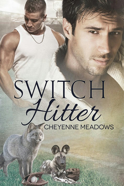 Cheyenne Meadows - Switch Hitter Cover