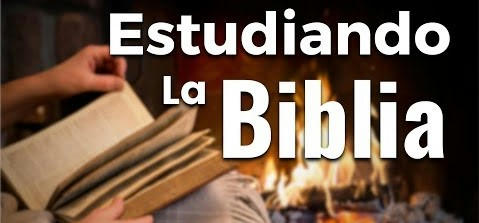 Cuadernos Biblicos - Verbo Divino pdf - Identi