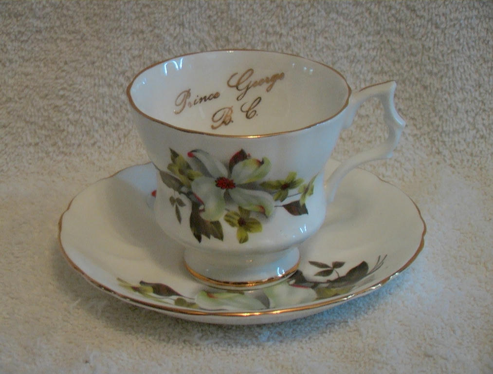 Royal Windsor Fine Bone China Teacup & Saucer Set Blue Floral Dogwood 